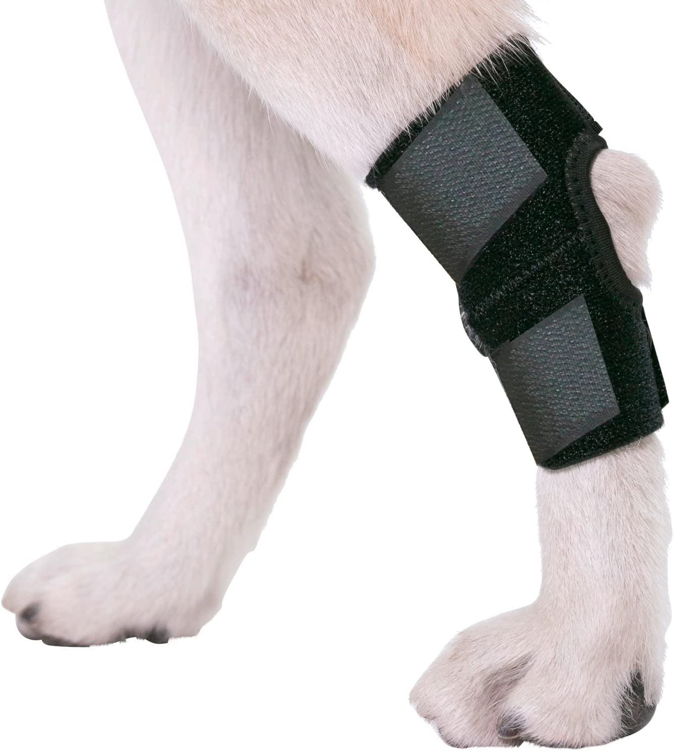 Dog Canine Rear Hock Joint Brace Compression Wrap with Straps Dog for Back Leg Protects Wounds. Heals Prevents Injuries and Sprains Helps with Loss of Stability Caused by Arthritis