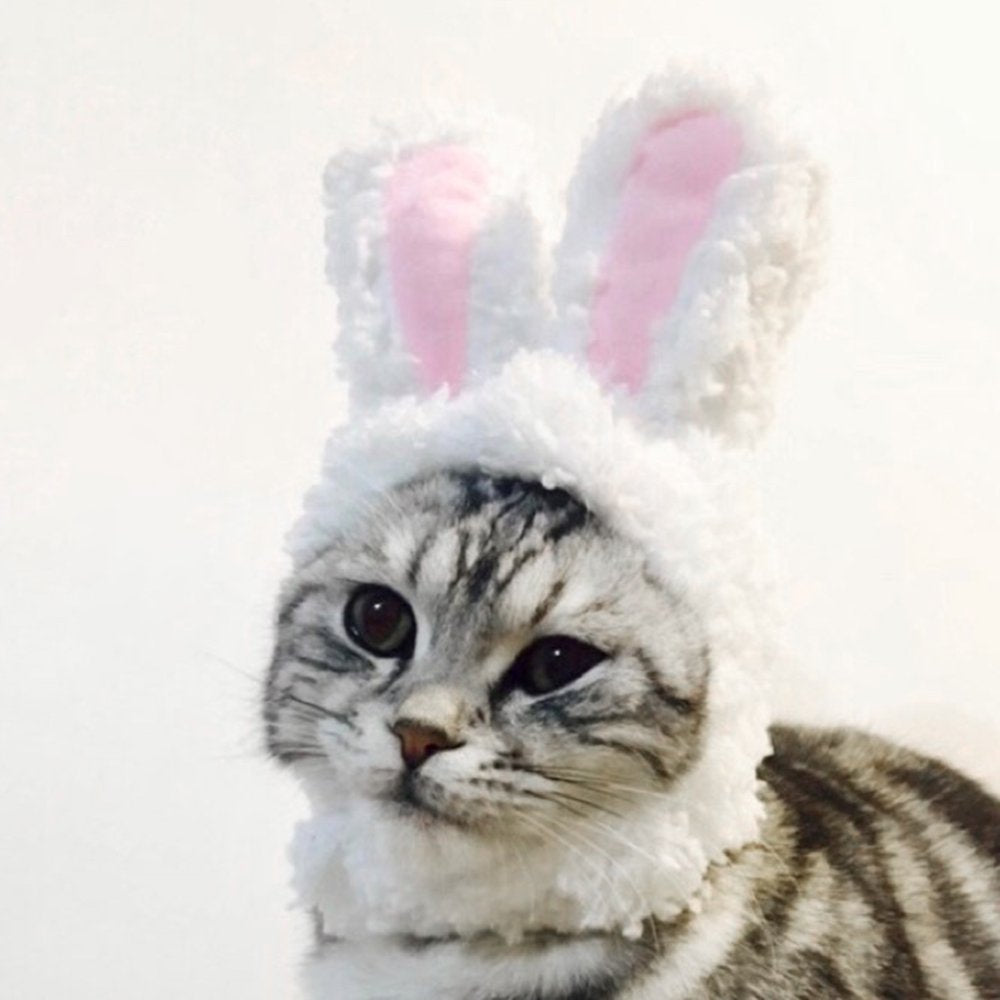 Cute Costume Bunny Rabbit Hat with Ears for Cats & Small Dogs Party Costume Easter Pet Accessory Headwear