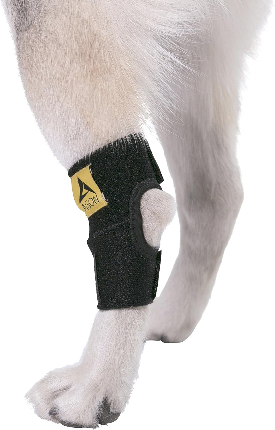 Dog Canine Rear Hock Joint Brace Compression Wrap with Straps Dog for Back Leg Protects Wounds. Heals Prevents Injuries and Sprains Helps with Loss of Stability Caused by Arthritis