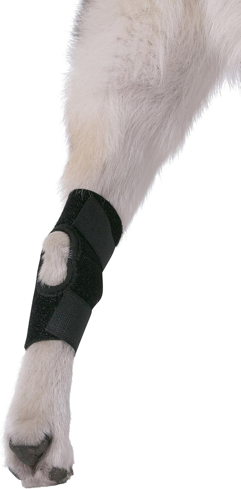 Dog Canine Rear Hock Joint Brace Compression Wrap with Straps Dog for Back Leg Protects Wounds. Heals Prevents Injuries and Sprains Helps with Loss of Stability Caused by Arthritis