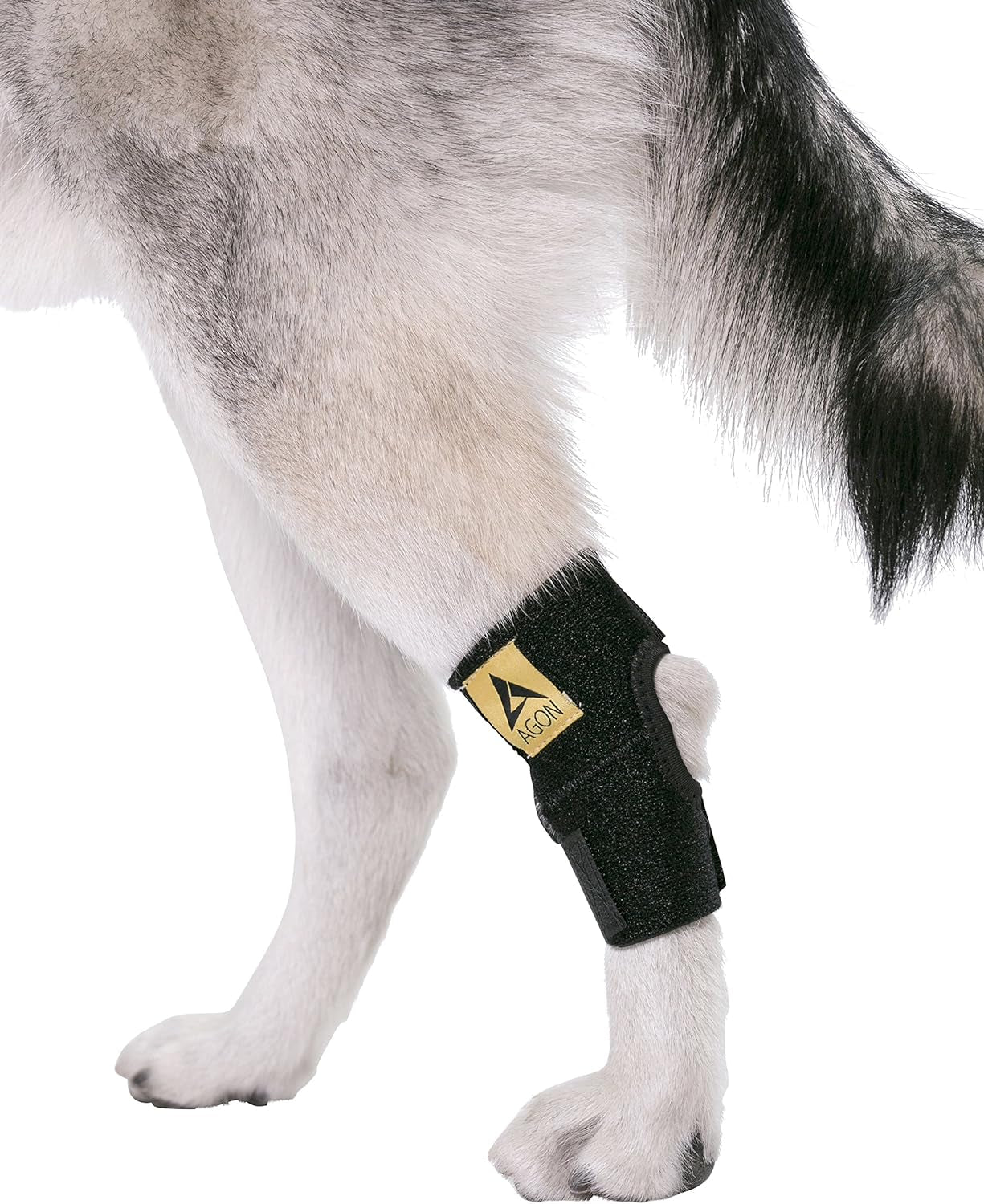 Dog Canine Rear Hock Joint Brace Compression Wrap with Straps Dog for Back Leg Protects Wounds. Heals Prevents Injuries and Sprains Helps with Loss of Stability Caused by Arthritis