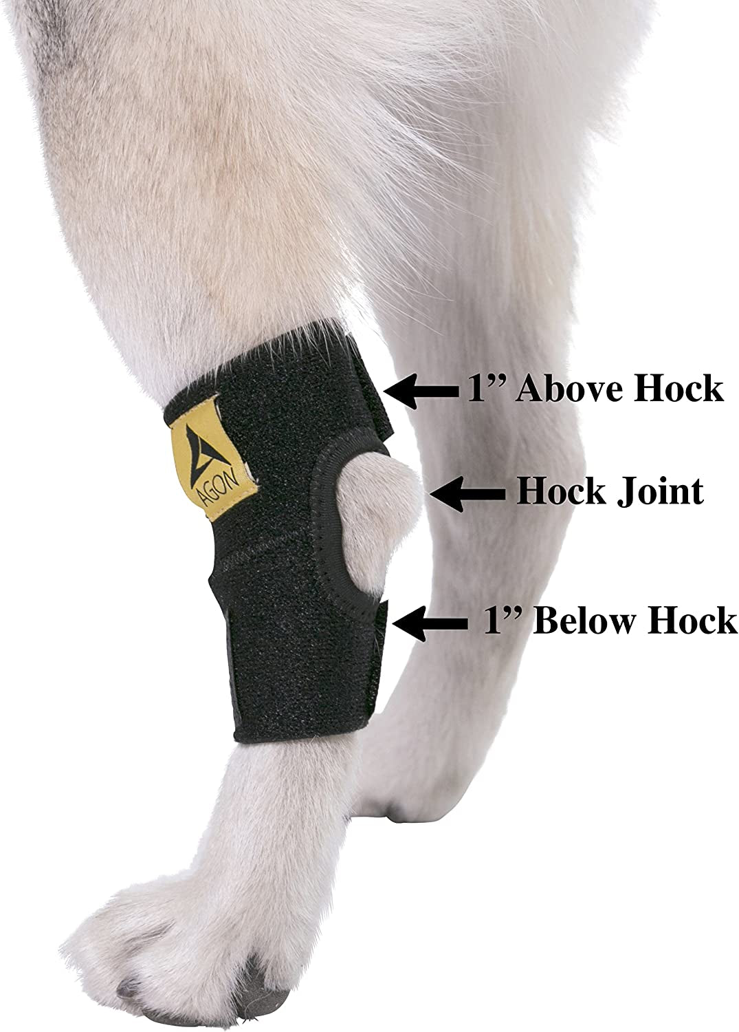 Dog Canine Rear Hock Joint Brace Compression Wrap with Straps Dog for Back Leg Protects Wounds. Heals Prevents Injuries and Sprains Helps with Loss of Stability Caused by Arthritis