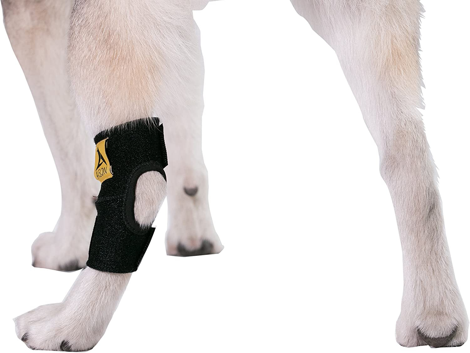 Dog Canine Rear Hock Joint Brace Compression Wrap with Straps Dog for Back Leg Protects Wounds. Heals Prevents Injuries and Sprains Helps with Loss of Stability Caused by Arthritis